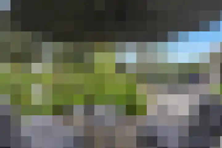 Kievitlaan 23 Schagen thumbnail 5