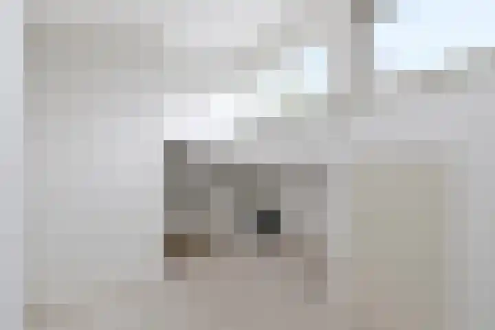 Kievitlaan 23 Schagen thumbnail 51