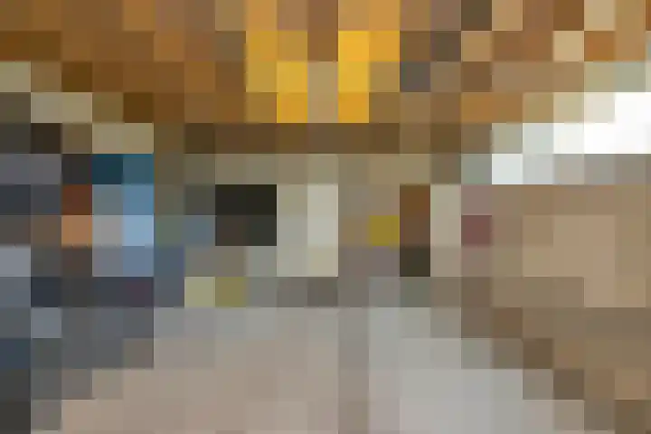 Kievitlaan 23 Schagen thumbnail 56