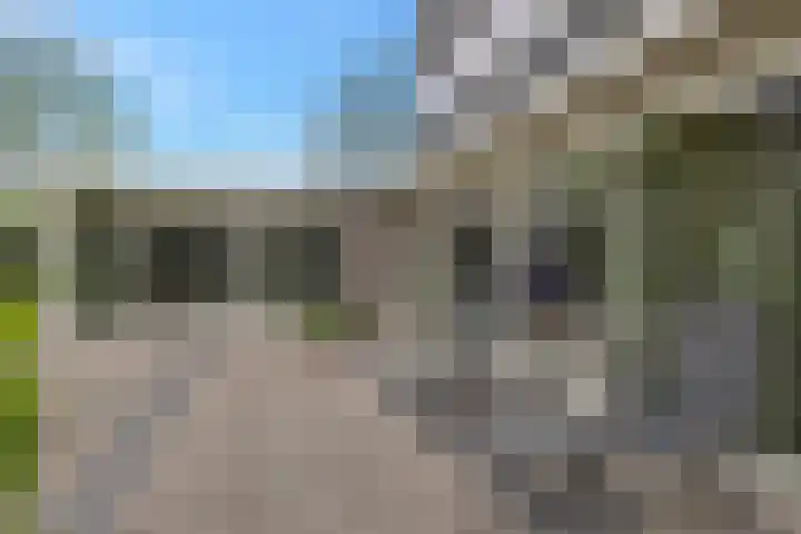 Kievitlaan 23 Schagen thumbnail 57