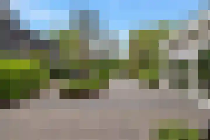 Kievitlaan 23 Schagen thumbnail 62