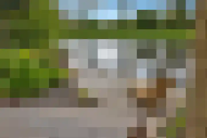 Kievitlaan 23 Schagen thumbnail 63
