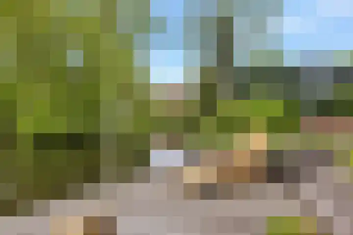 Kievitlaan 23 Schagen thumbnail 64