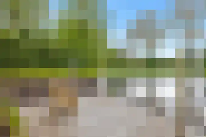 Kievitlaan 23 Schagen thumbnail 65