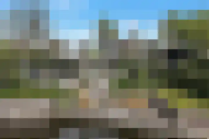 Kievitlaan 23 Schagen thumbnail 66