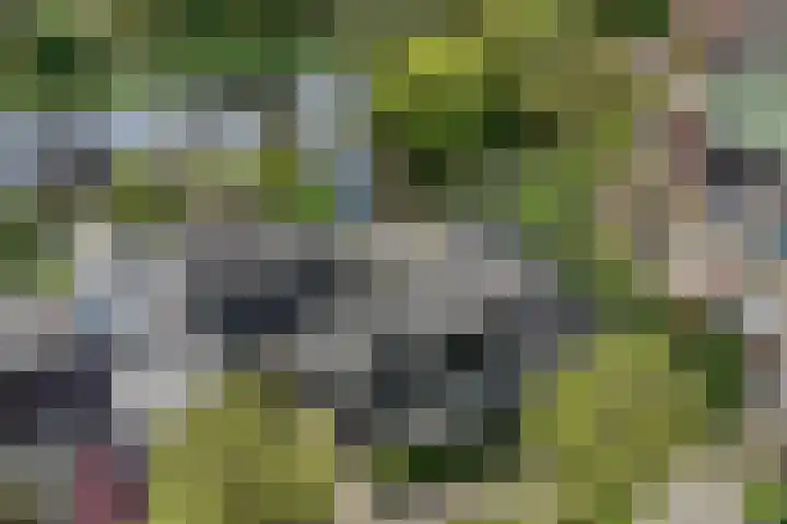 Kievitlaan 23 Schagen thumbnail 69