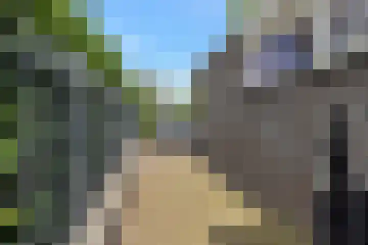 Kievitlaan 23 Schagen thumbnail 72