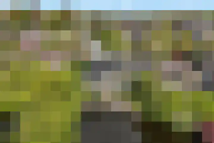 Kievitlaan 23 Schagen thumbnail 76