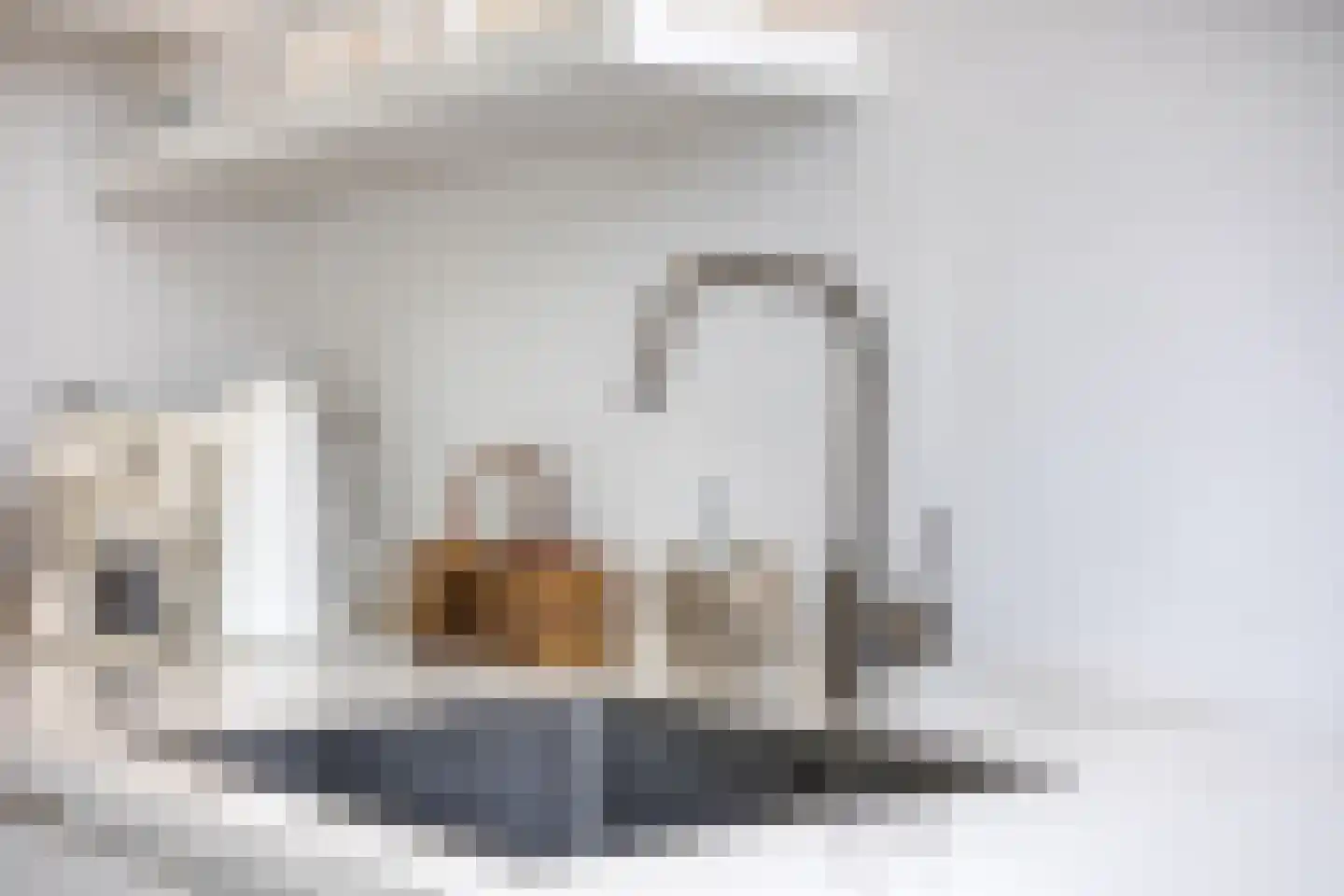 Kievitlaan 27 Goes thumbnail 14