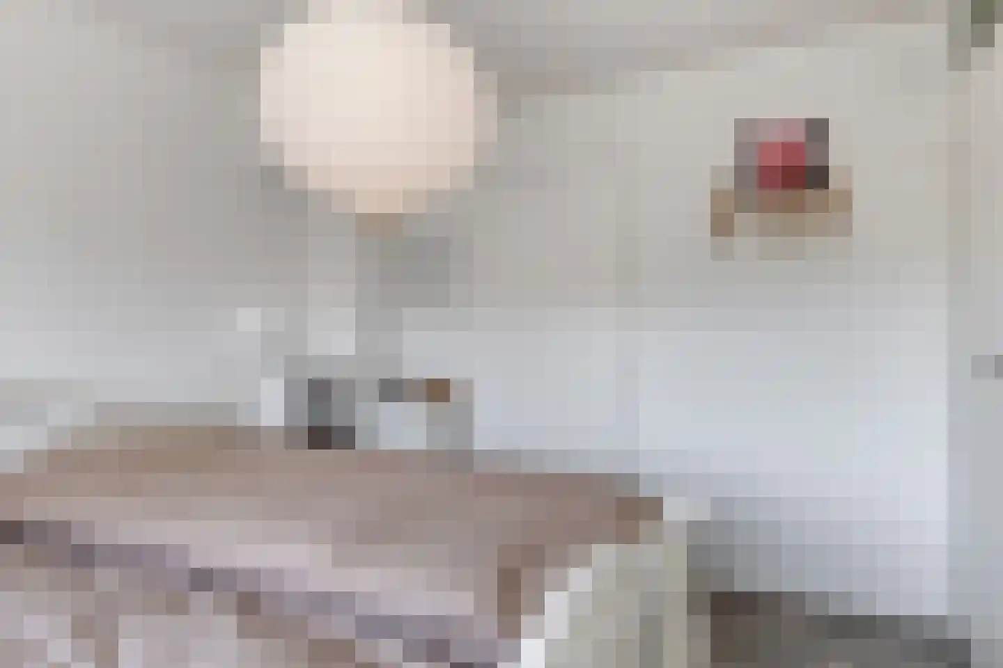 Kievitlaan 27 Goes thumbnail 17