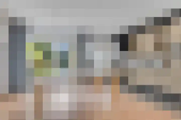 Kievitlaan 30 Schagen thumbnail 10