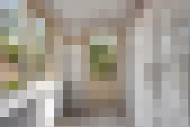Kievitlaan 30 Schagen thumbnail 13