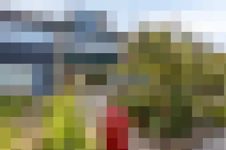 Kievitlaan 30 Schagen thumbnail 41