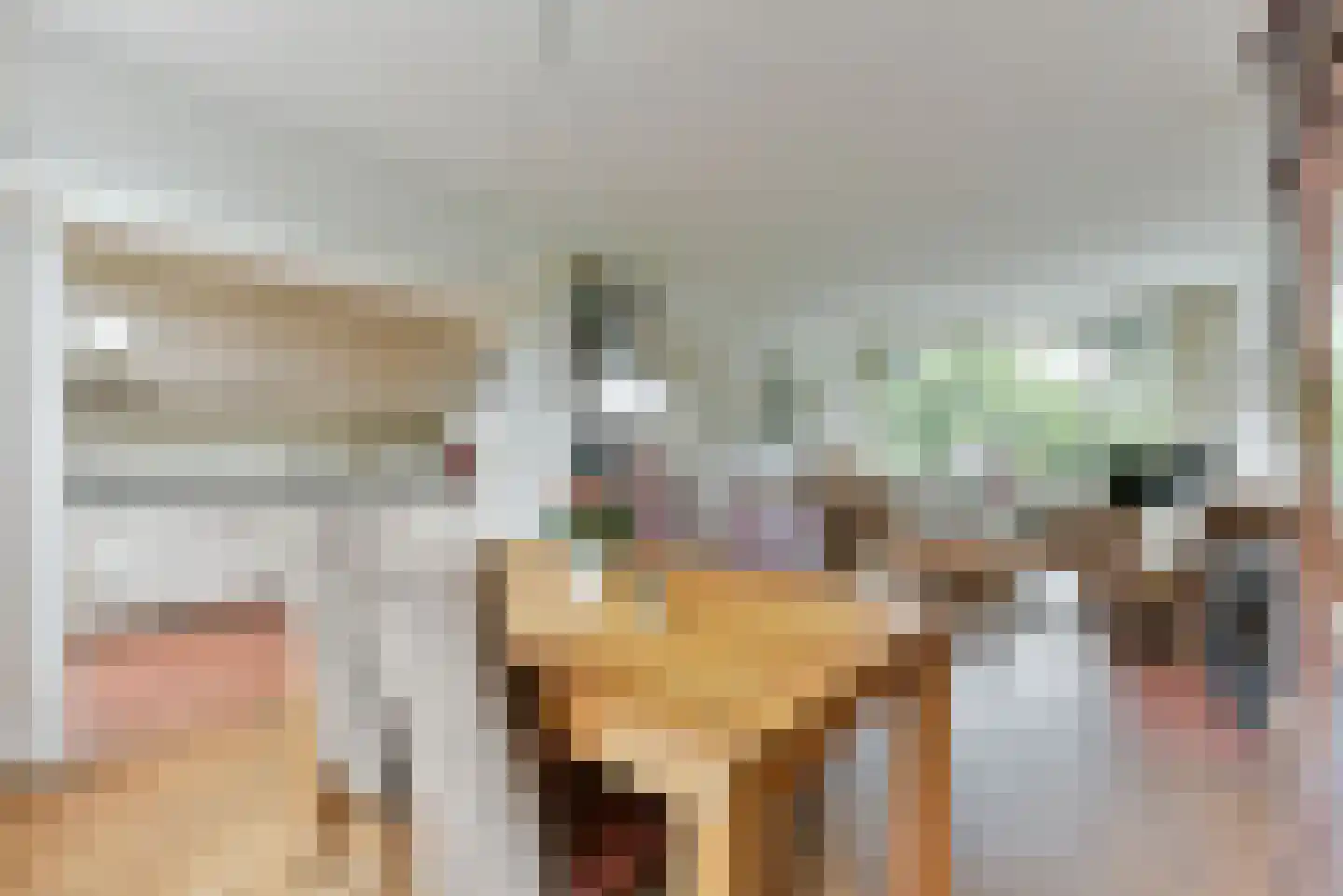 Kievitlaan 32 Maartensdijk thumbnail 11