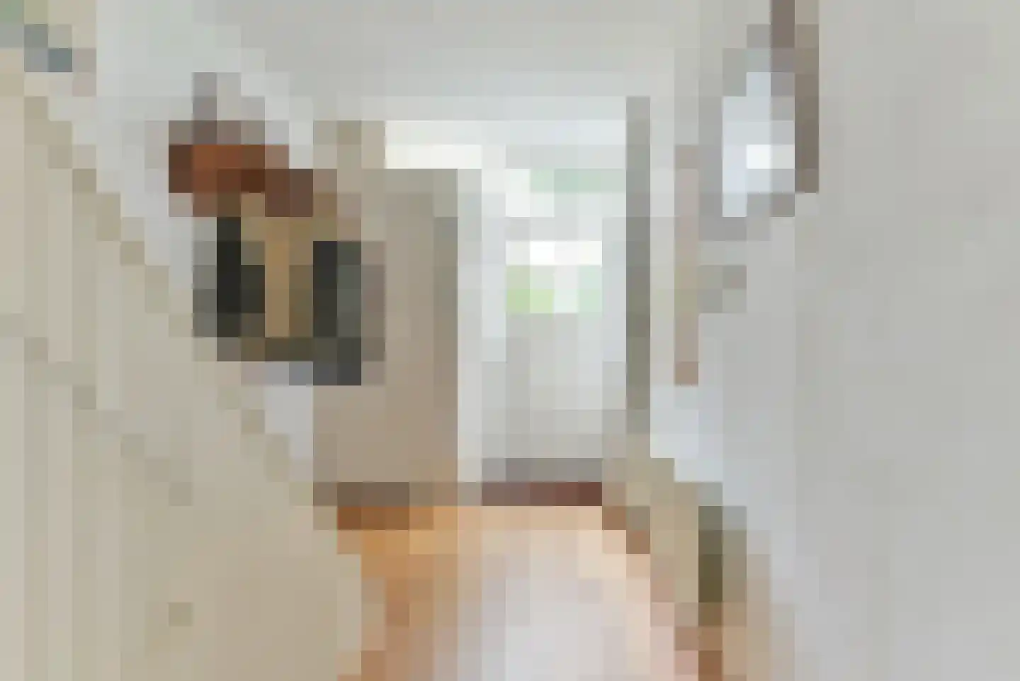 Kievitlaan 32 Maartensdijk thumbnail 22