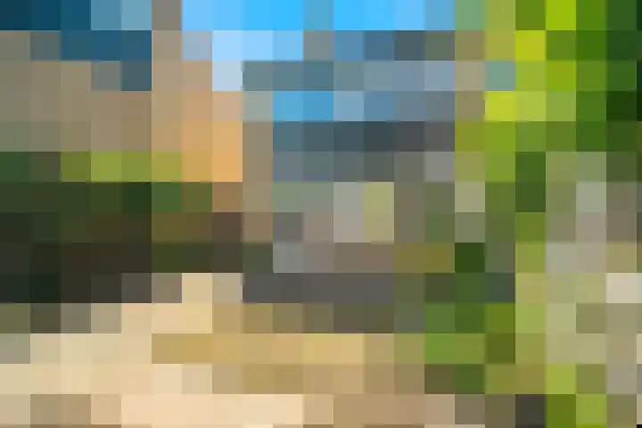 Kievitlaan 34 Schagen thumbnail 12