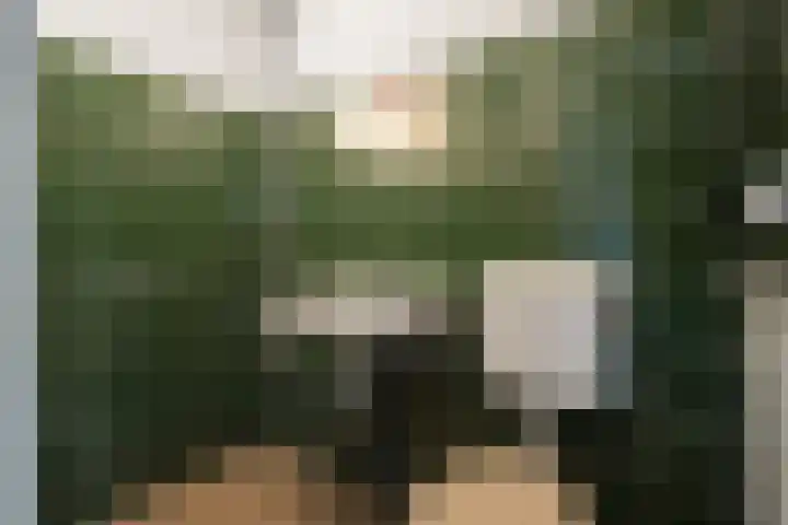 Kievitlaan 34 Schagen thumbnail 23