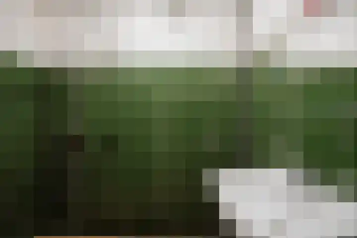 Kievitlaan 34 Schagen thumbnail 24