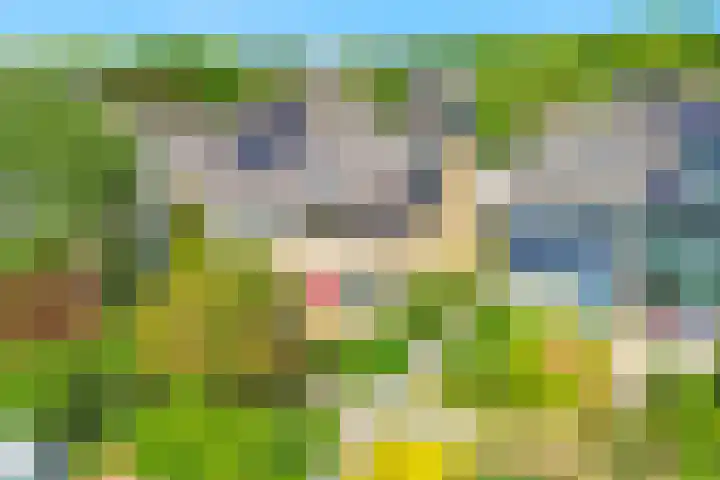 Kievitlaan 34 Schagen thumbnail 37