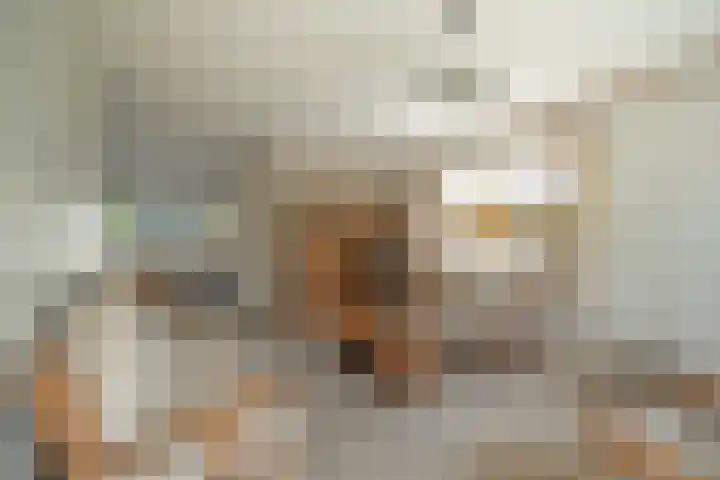 Kievitlaan 34 Schagen thumbnail 4