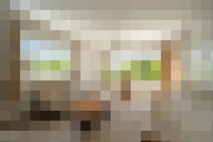 Kievitlaan 34 Schagen thumbnail 5