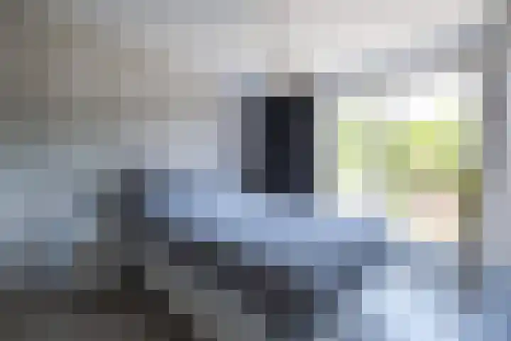 Kievitlaan 34 't Veld thumbnail 13