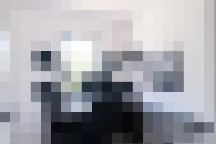 Kievitlaan 34 't Veld thumbnail 15