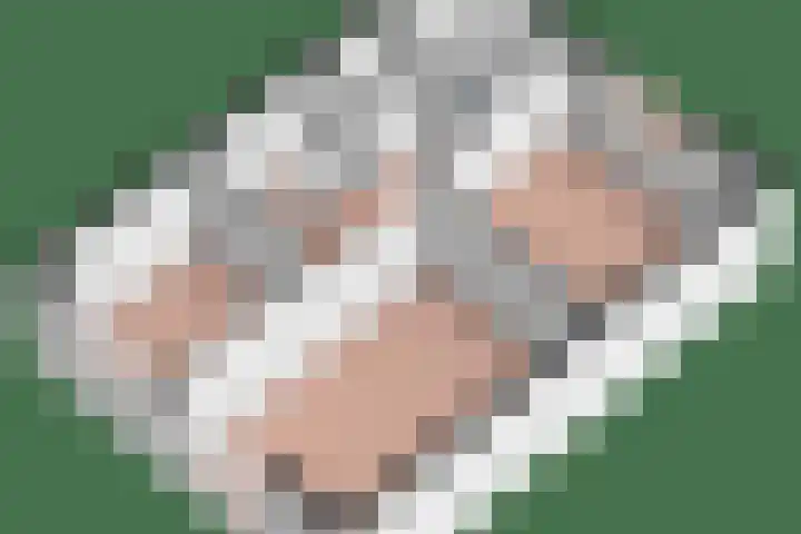 Kievitlaan 34 't Veld thumbnail 18