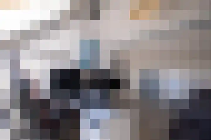 Kievitlaan 34 't Veld thumbnail 20