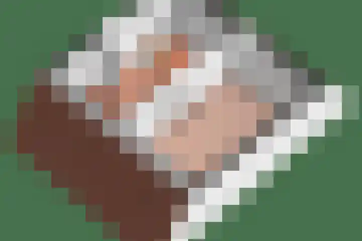 Kievitlaan 34 't Veld thumbnail 21