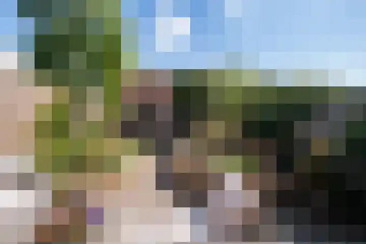 Kievitlaan 34 't Veld thumbnail 23