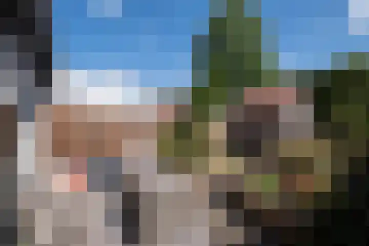 Kievitlaan 34 't Veld thumbnail 24