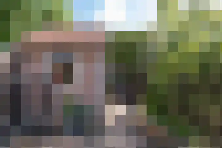 Kievitlaan 34 't Veld thumbnail 25