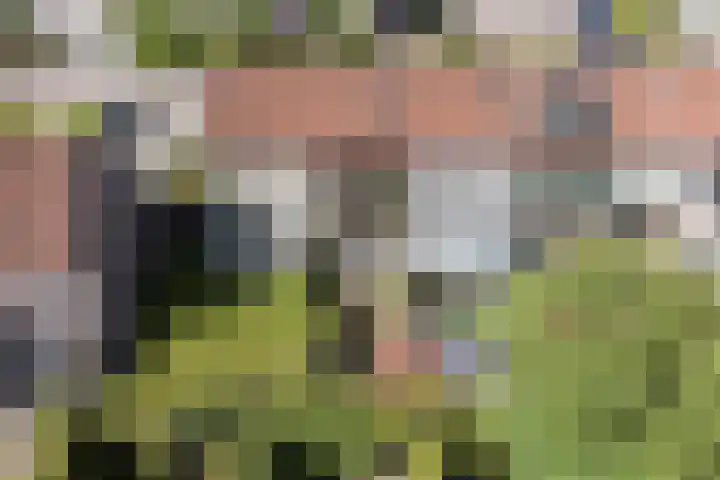Kievitlaan 34 't Veld thumbnail 28