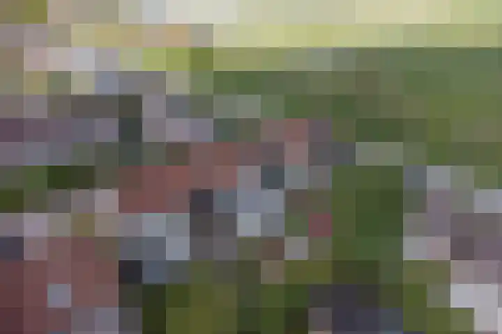 Kievitlaan 34 't Veld thumbnail 29