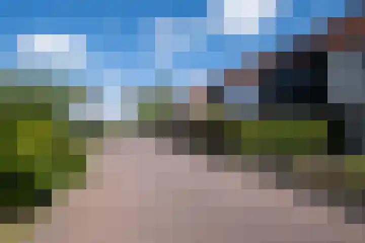 Kievitlaan 34 't Veld thumbnail 31