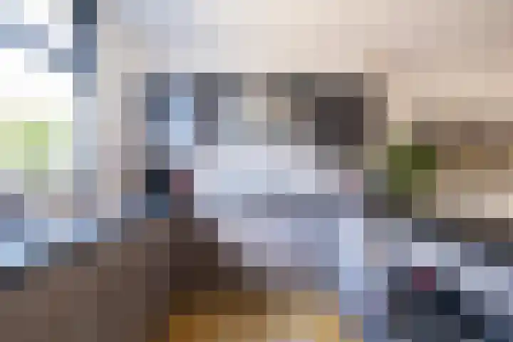 Kievitlaan 34 't Veld thumbnail 8