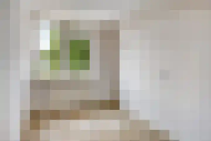 Kievitlaan 35 Sliedrecht thumbnail 13
