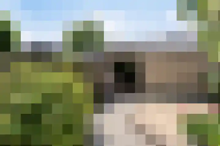 Kievitlaan 35 Sliedrecht thumbnail 22
