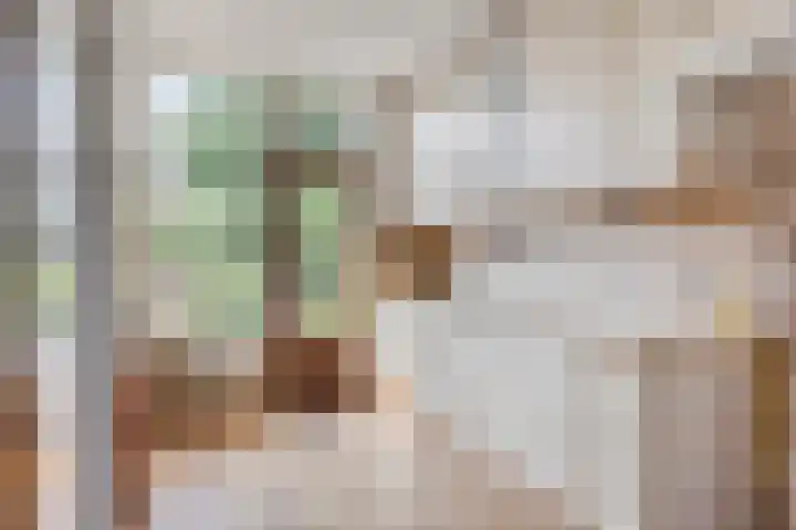 Kievitlaan 35 Sliedrecht thumbnail 7