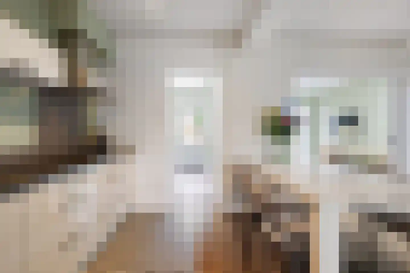 Kievitlaan 39 Boekel thumbnail 6