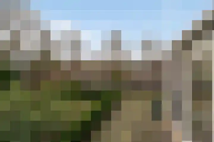 Kievitlaan 39 Weert thumbnail 27