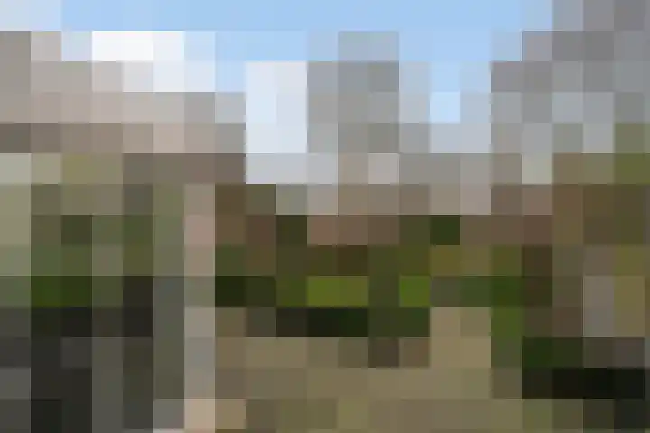 Kievitlaan 39 Weert thumbnail 28