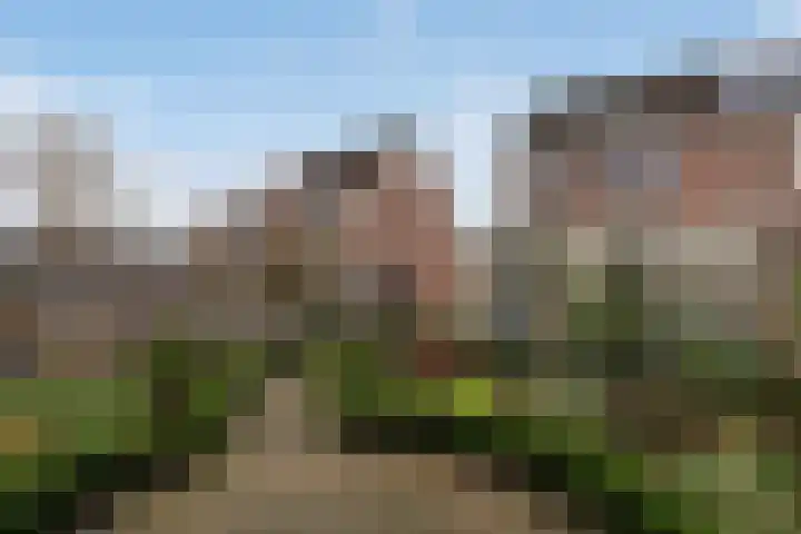 Kievitlaan 39 Weert thumbnail 29