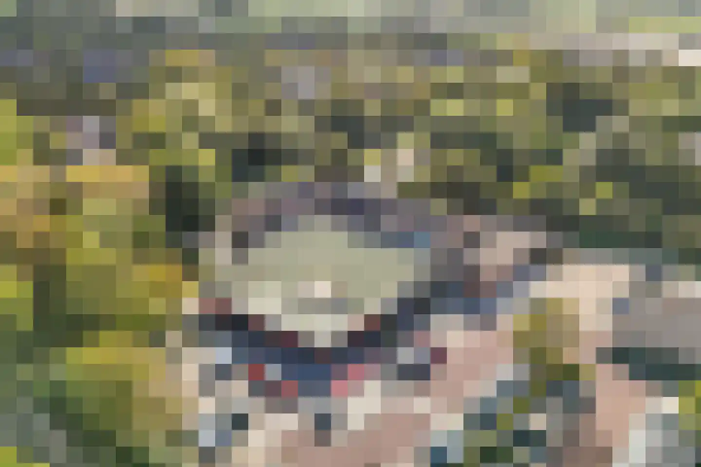 Kievitlaan 45 Schagen thumbnail 37