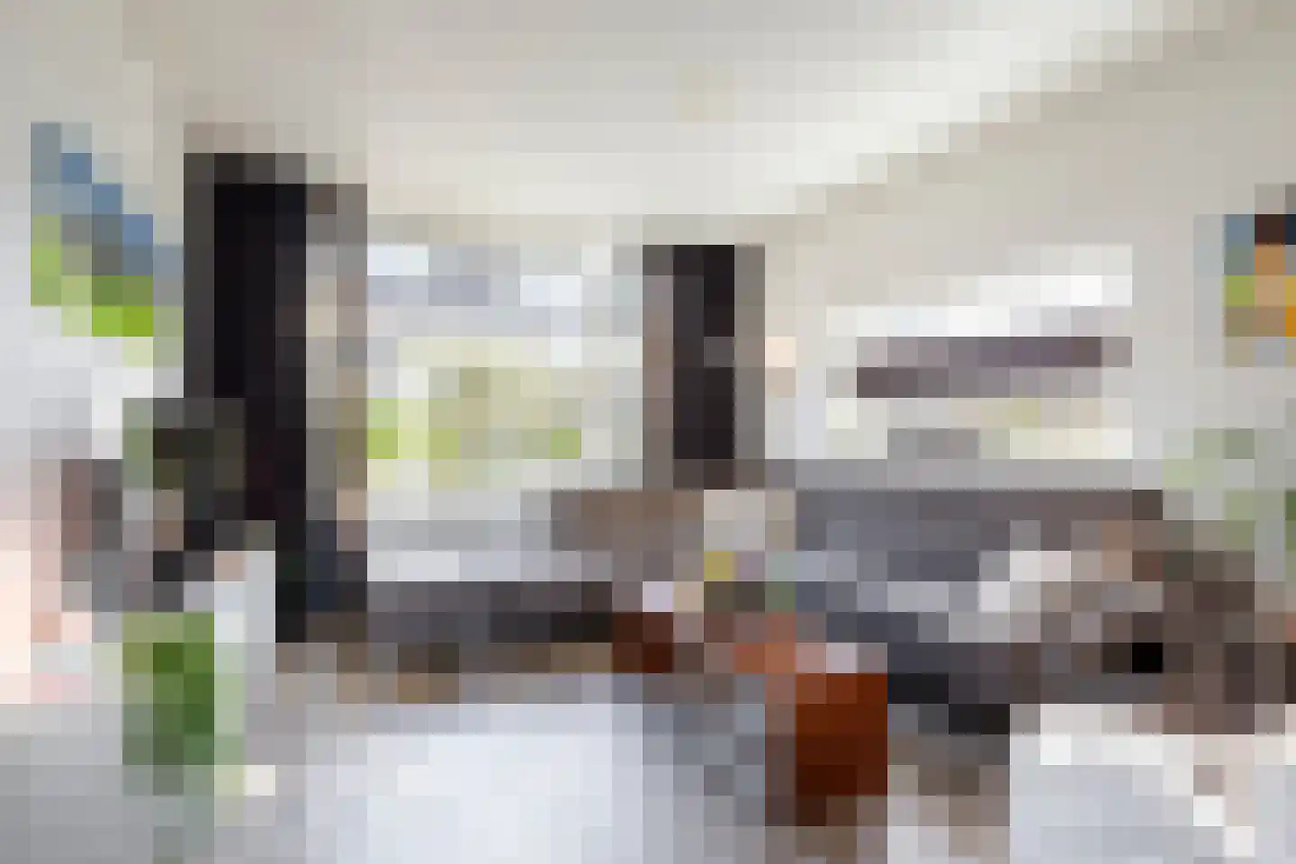 Kievitlaan 46 Sliedrecht thumbnail 4