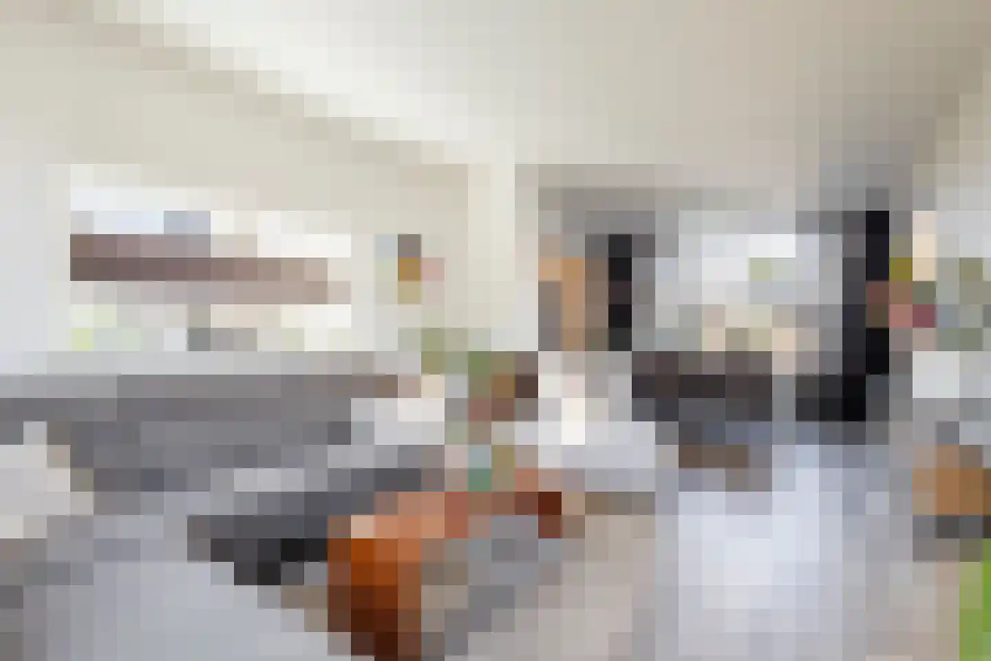 Kievitlaan 46 Sliedrecht thumbnail 5