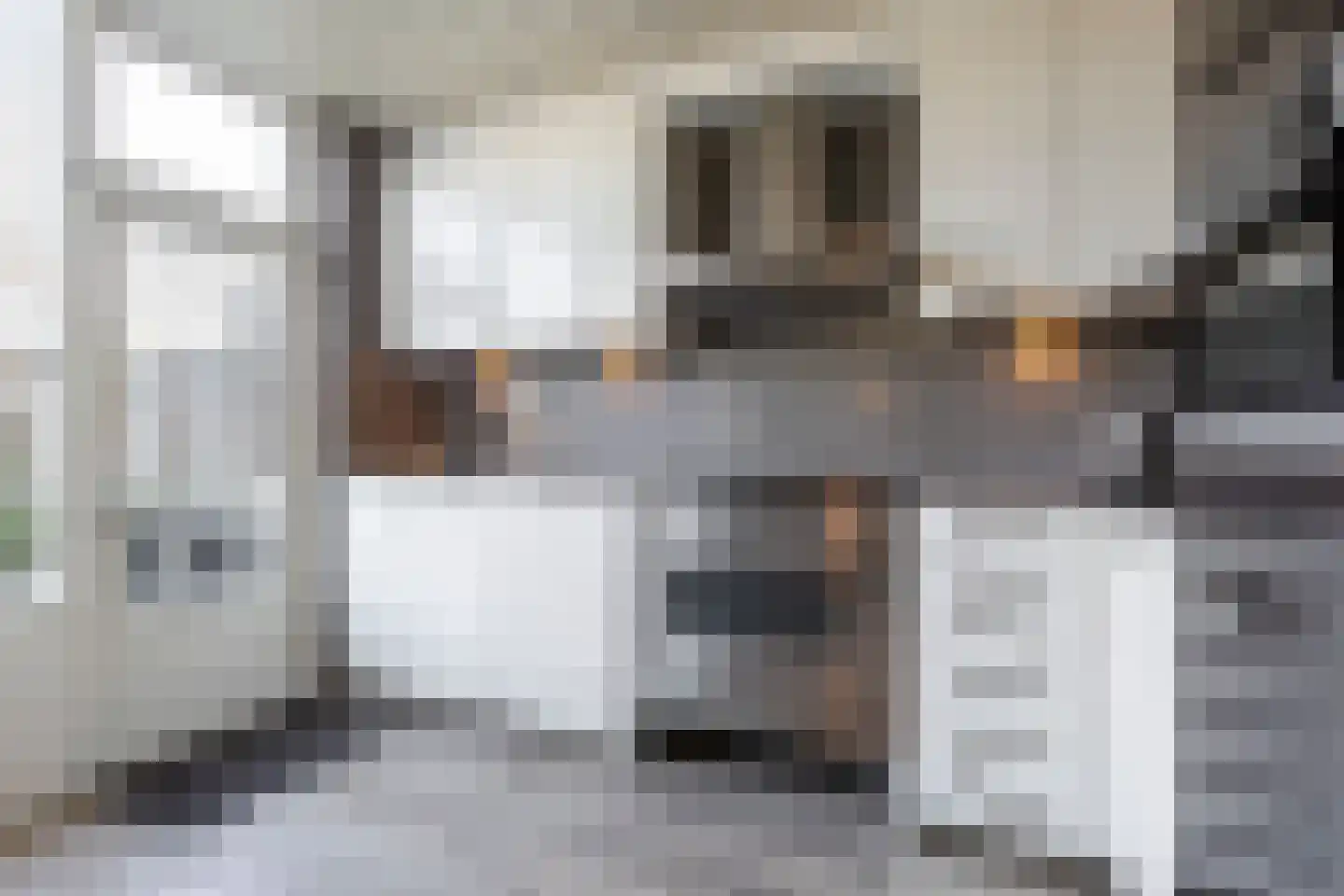 Kievitlaan 46 Sliedrecht thumbnail 9