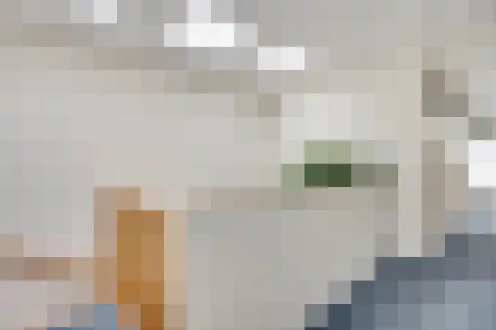 Kievitlaan 5 Riethoven thumbnail 25