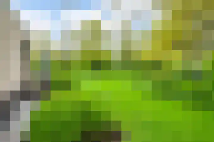 Kievitlaan 5 Riethoven thumbnail 30